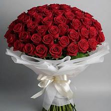 Букет 101 Красная роза Блэк Мэджик #REPLACE_PRED# Новом Карачае