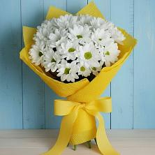 Букет цветов из:  Хризантемы в Новом Карачае