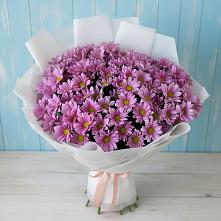 Букет цветов из:  Хризантемы #REPLACE_PRED# Новом Карачае