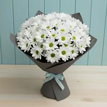 Букет цветов из:  Хризантемы в Новом Карачае