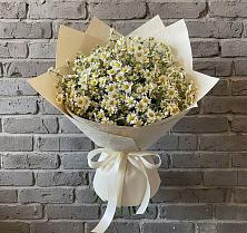 Букет цветов из:  Ромашки #REPLACE_PRED# Новом Карачае