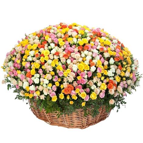 Премиум букет из: Розы в Новом Карачае