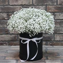Цветочная композиция из Гипсофила в шляпной коробке #REPLACE_PRED# Новом Карачае