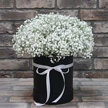 Цветочная композиция из Гипсофила в шляпной коробке в Новом Карачае